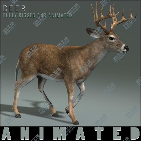 images/goods_img/20210113/Deer (ANIMATED)/2.jpg